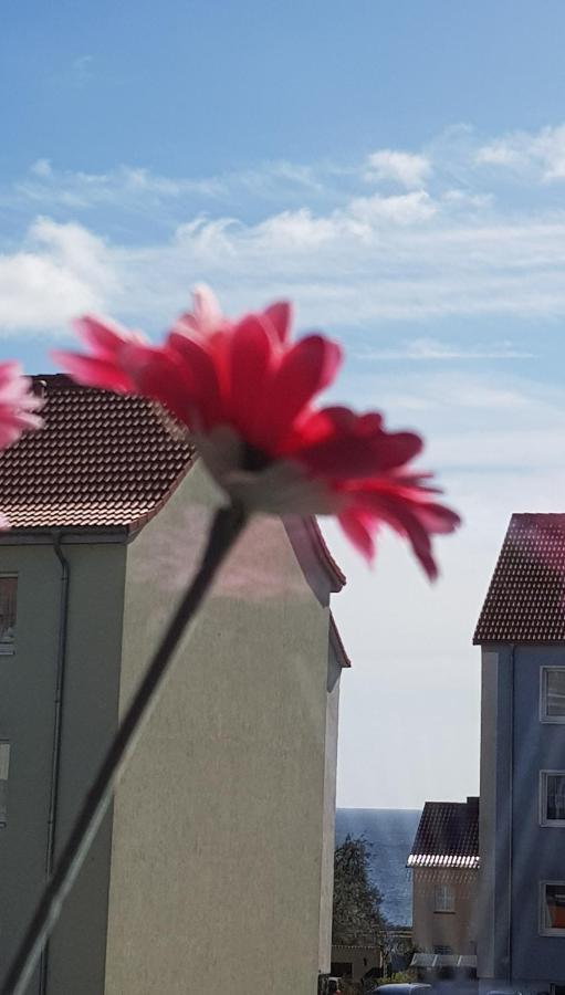 Apartment Deichkrone Sassnitz Eksteriør billede
